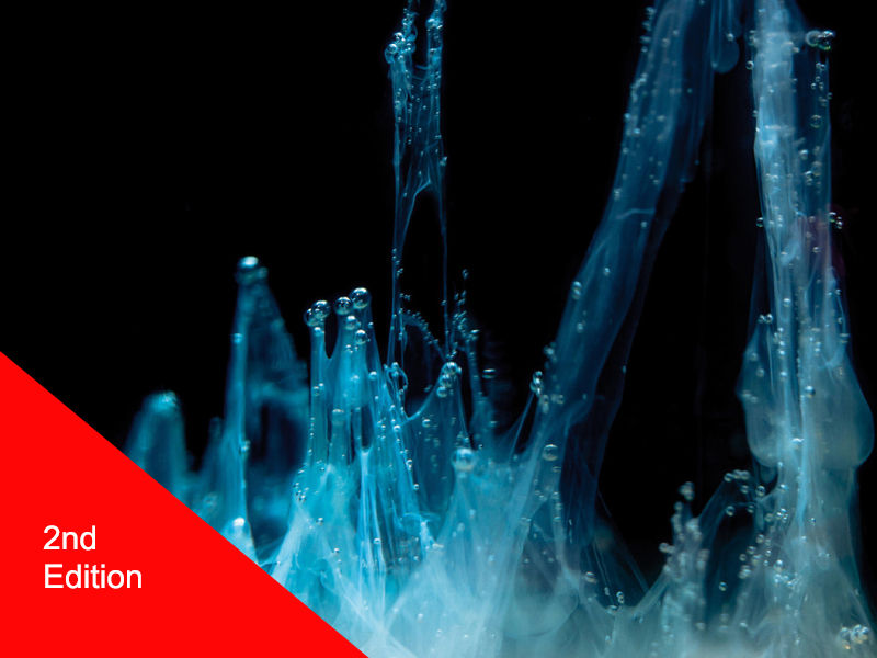 A Lobo füzet 2. kiadásának borítója